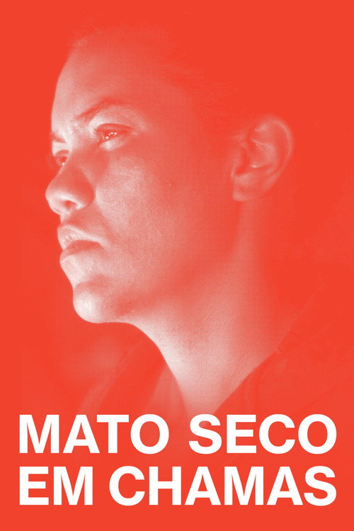 Capa de Mato Seco Em Chamas