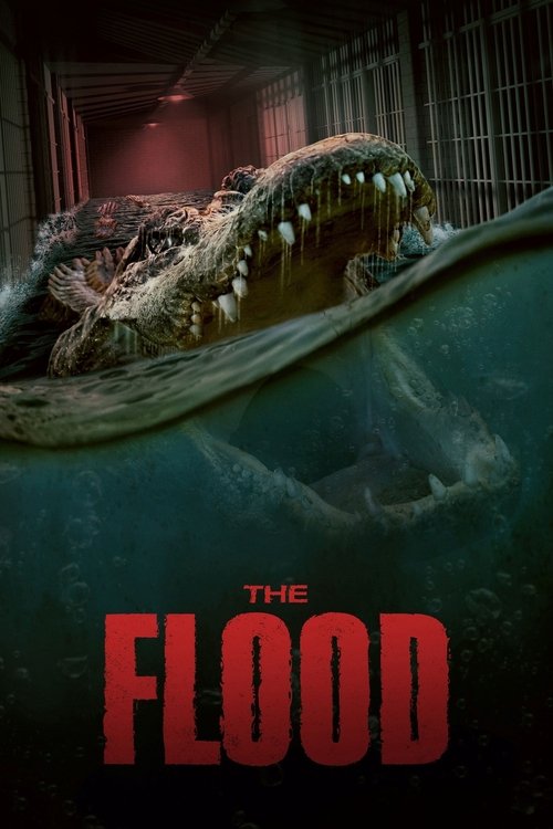 Capa de The Flood (2023)