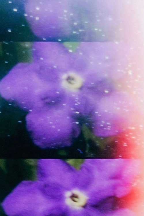 Capa de Venus