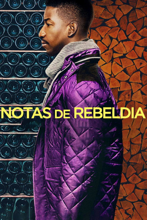 Capa de Notas De Rebeldia