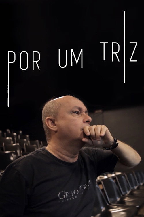 Capa de Por Um Triz