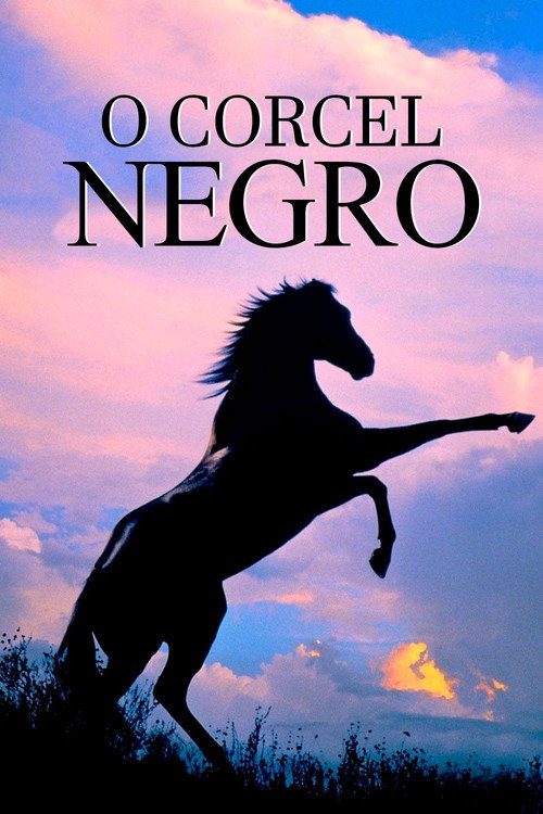 Capa de O Corcel Negro